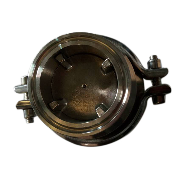 Check valve